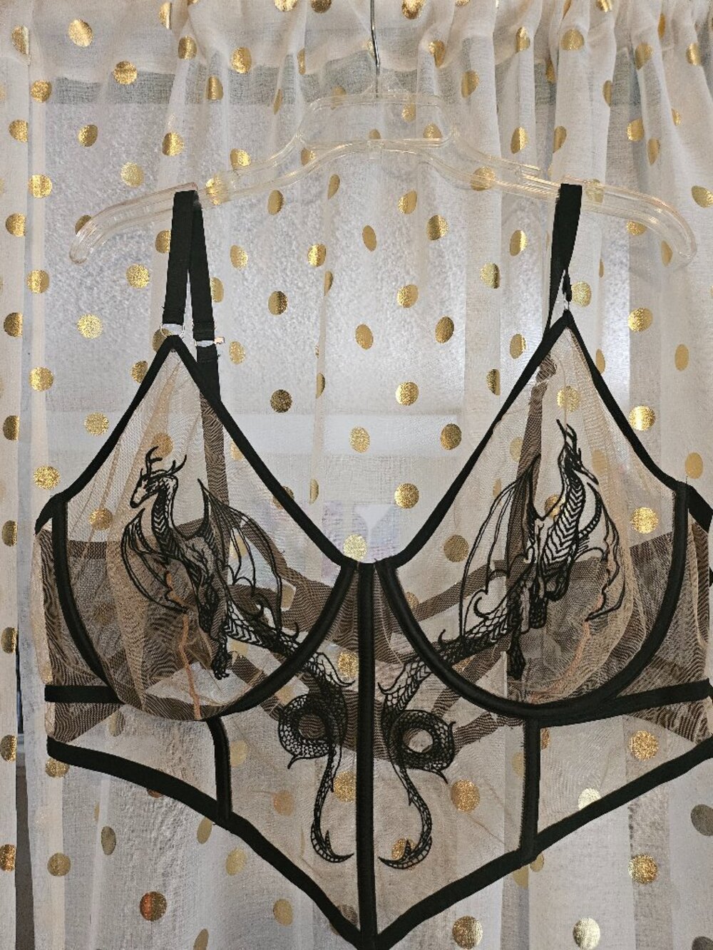 Thistle and Spire Women's Dragon Embroidered Sheer Mesh Longline Bustier